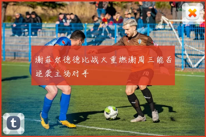谢菲尔德德比战火重燃谢周三能否逆袭主场对手